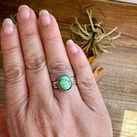 Sonoran Gold Turquoise Ring – Size 7 – Sterling Silver