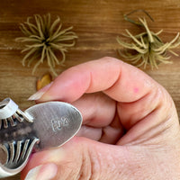 Green Turquoise Concho Ring – Size 9 – Navajo Handmade by Boyd Ashley