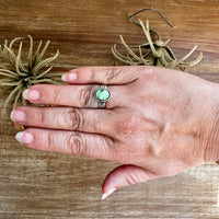 Sonoran Gold Turquoise Ring – Size 7 – Sterling Silver