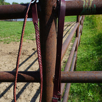 5 Plait Latigo Roping Reins