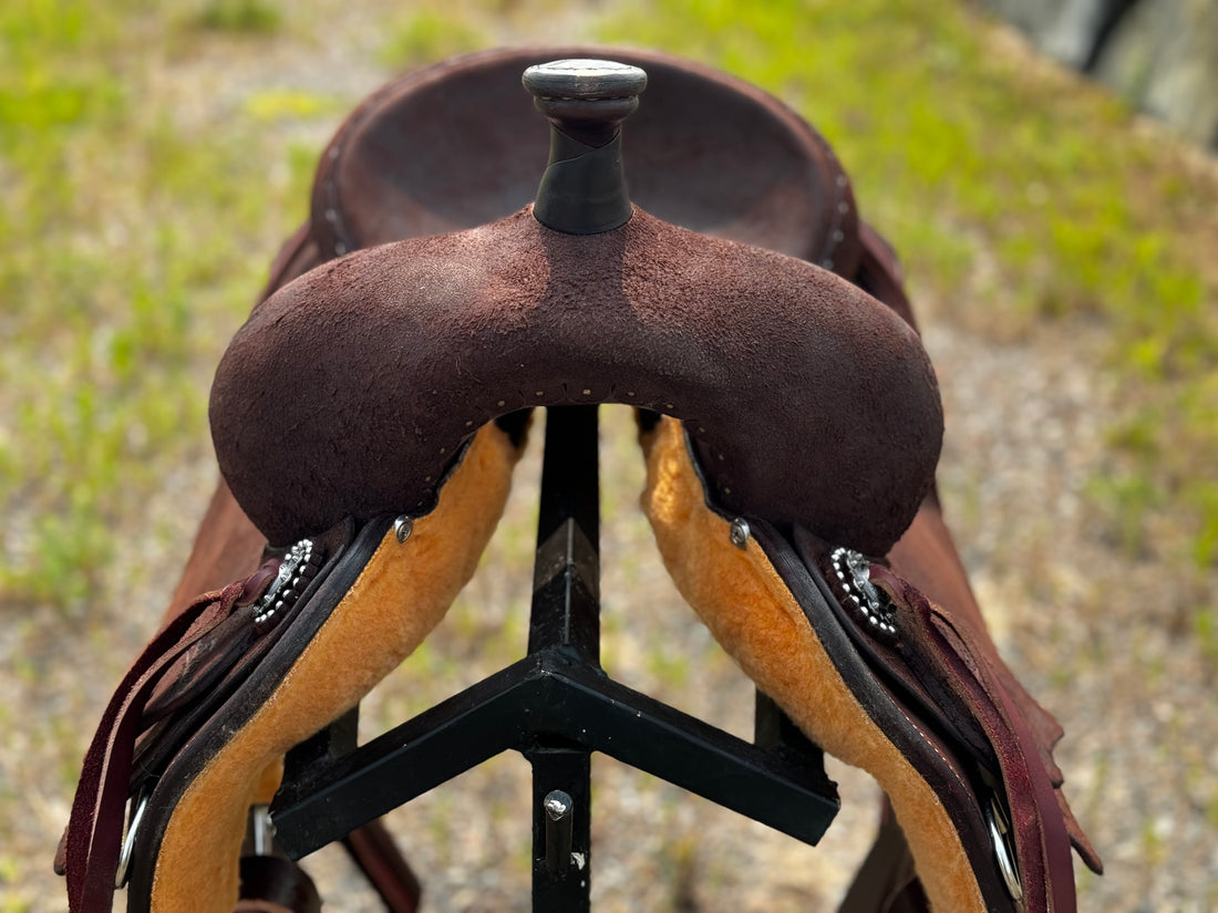 Chocolate ST Ranch Cutter