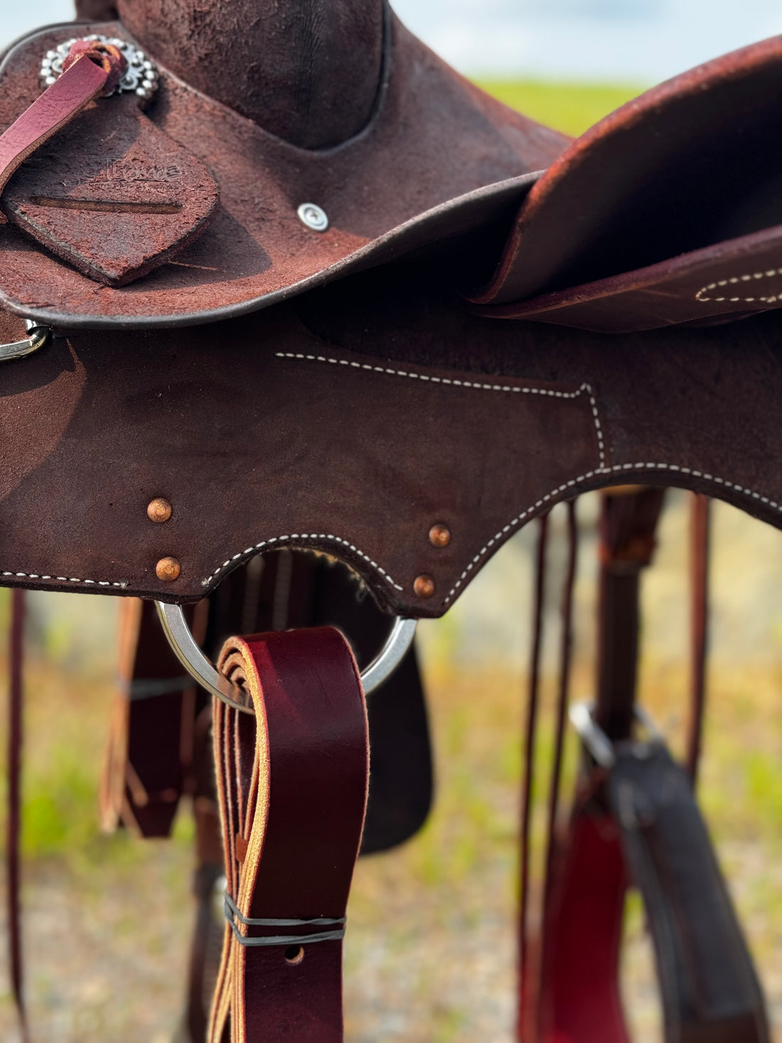 Chocolate ST Ranch Cutter
