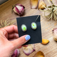 Sterling Silver Palomino Variscite Stud Earrings, Artist Jason Ogg