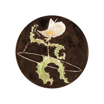 Punchy Poppy, LLC