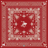 Bandito Shorty Silk/Cotton Wild Rags