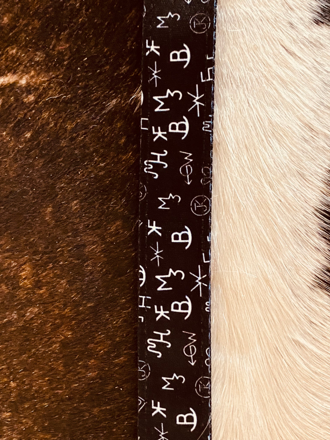 Western Dog Collars