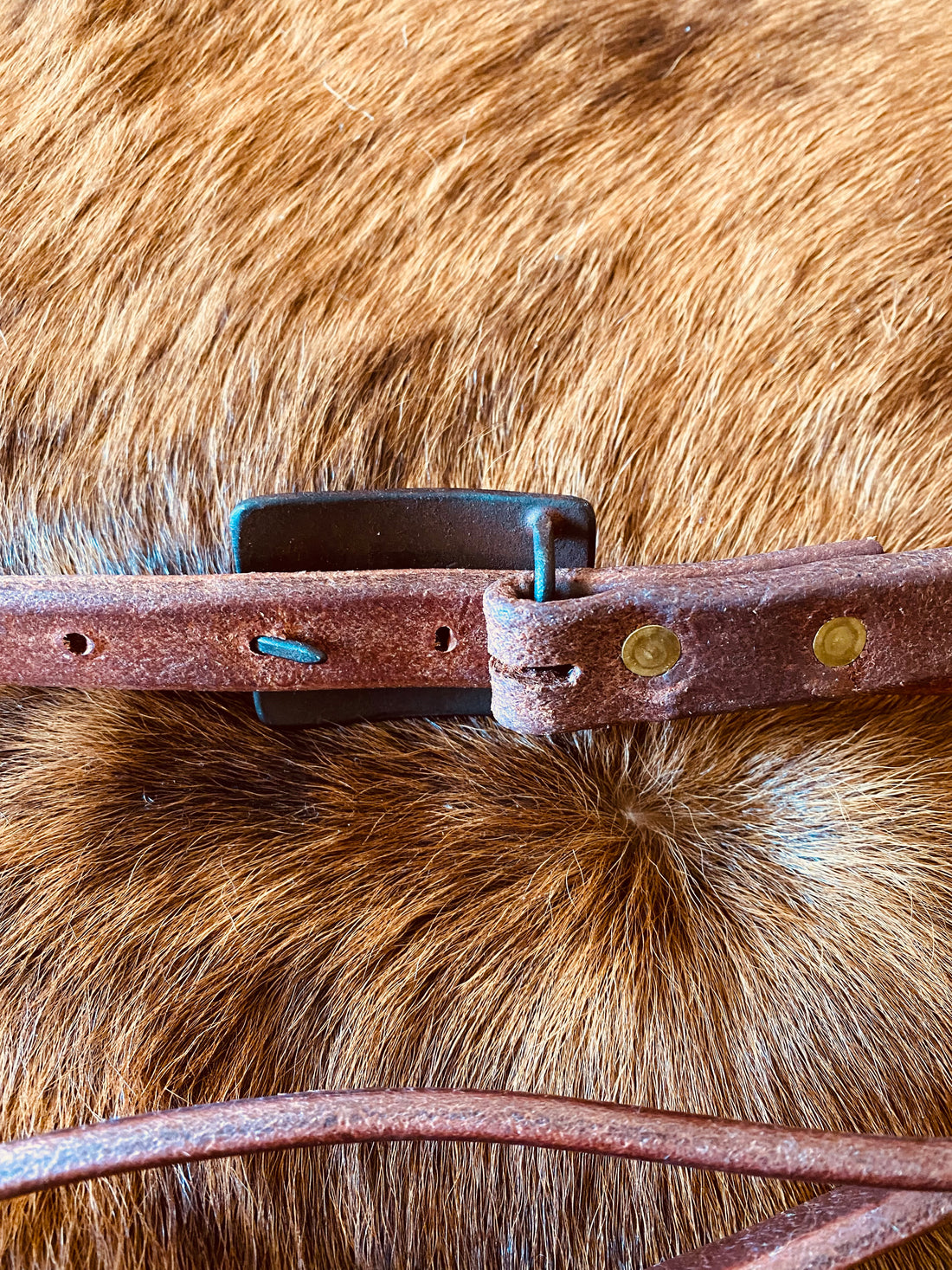 Harness Leather Slide Ear w/Handmade Buckle