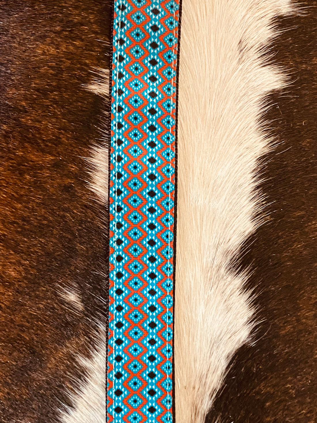 Western Dog Collars
