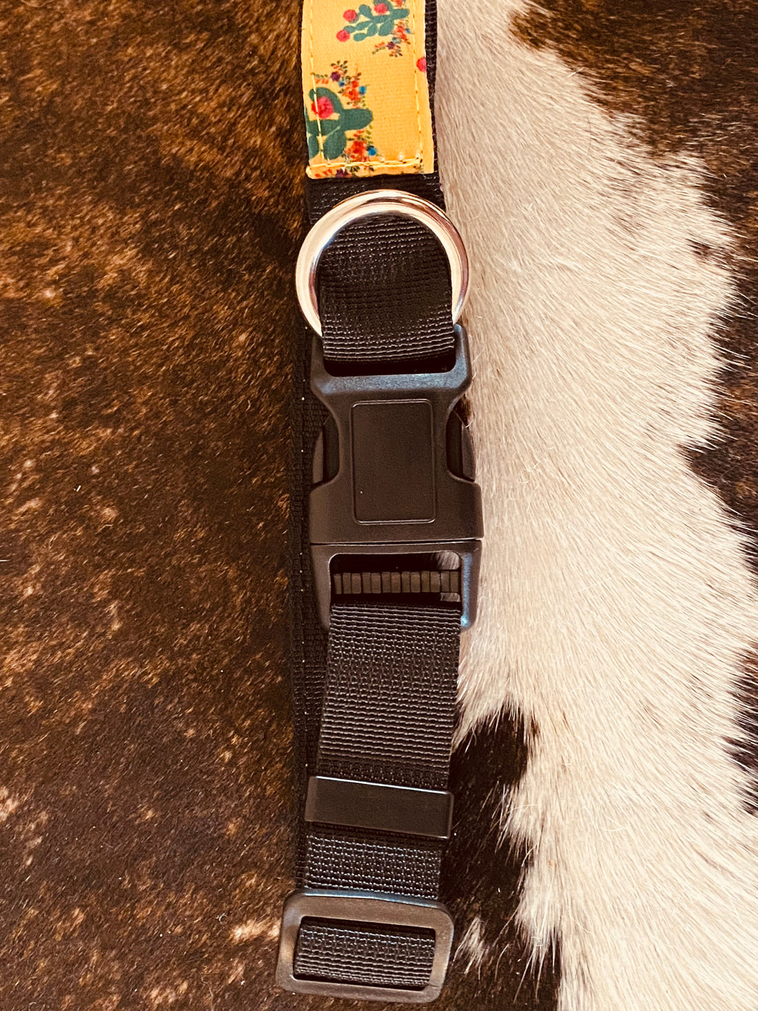 Western Dog Collars