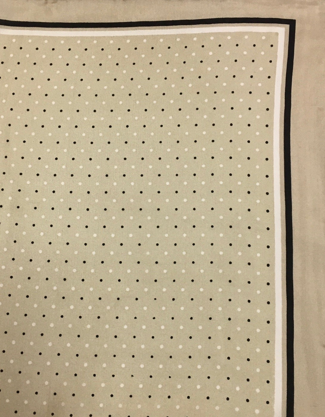 Cowboy Polka Dot with Boarder Silk Wildrags