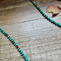 33” Graduated Turquoise & Spiny Oyster Necklace