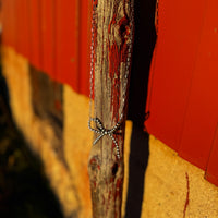 Sterling Pearl Bow Necklace