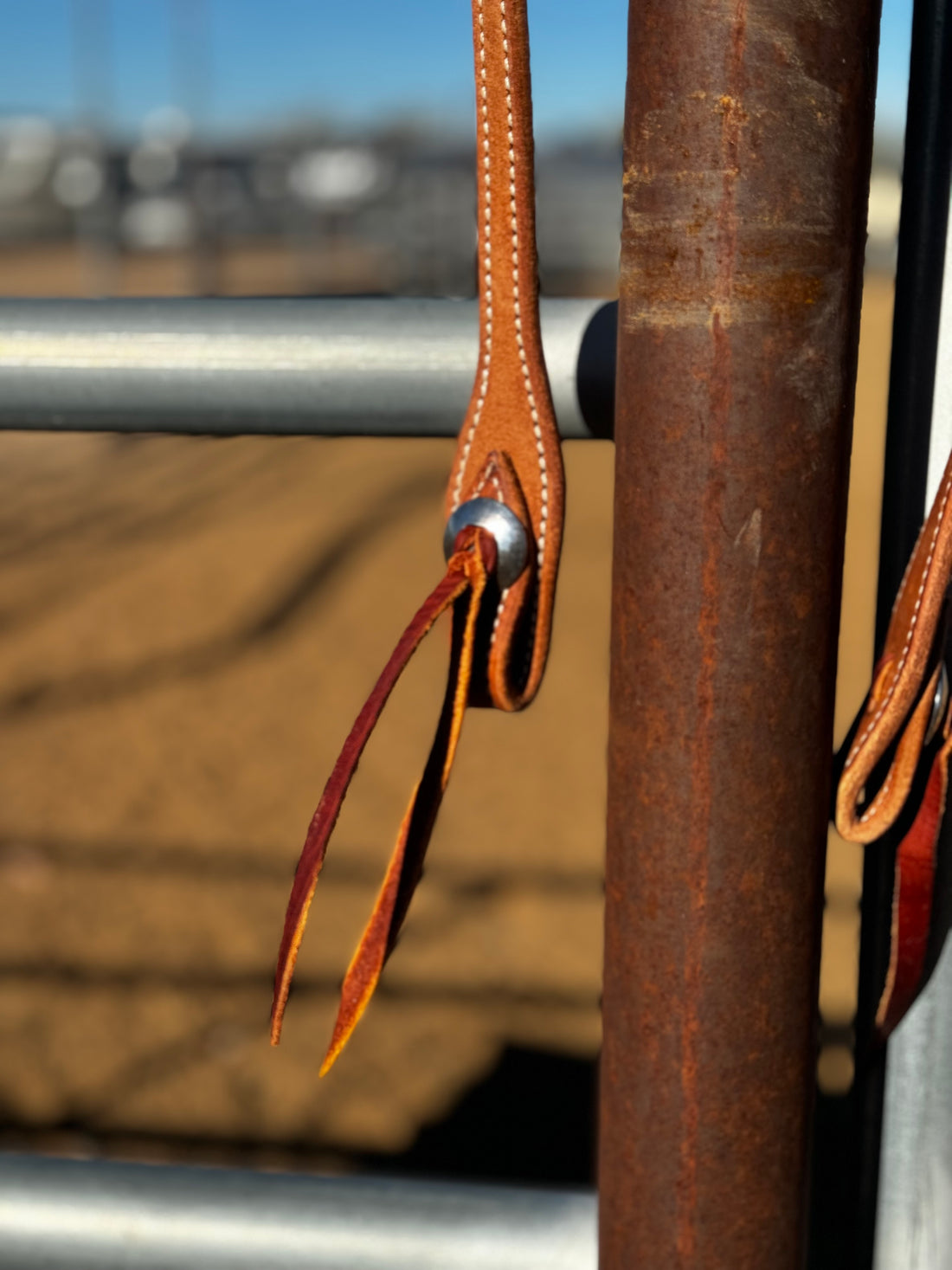 Closeup of headstall with concho cheeks