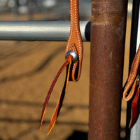 Closeup of headstall with concho cheeks