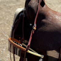 Double Rope Noseband