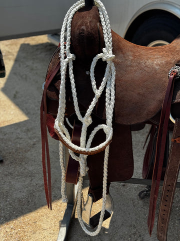 Mule Tape Halter with Leather Noseband