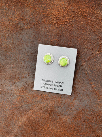 Sonoran Gold Studs