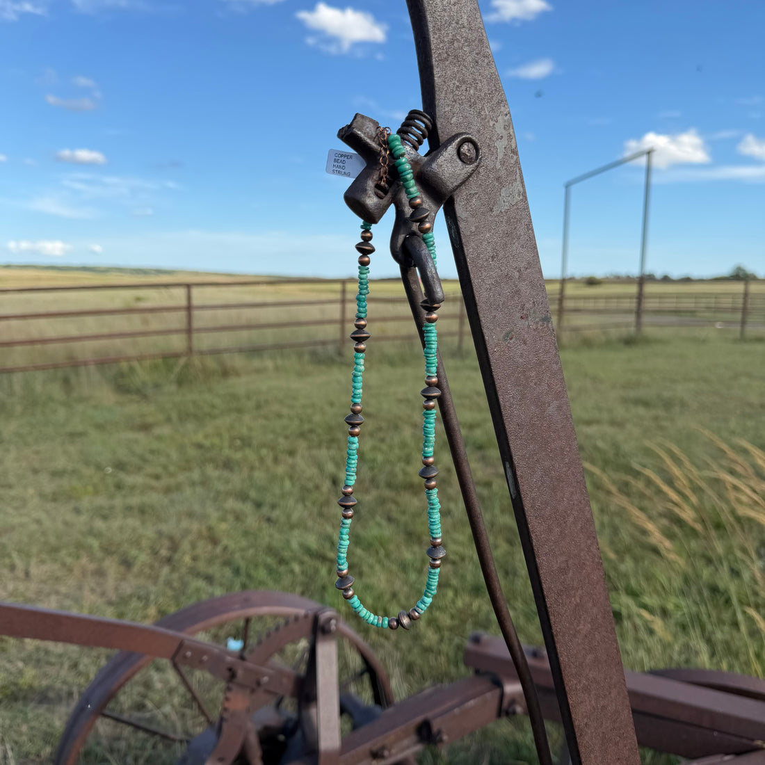A rustic metal horseshoe-shaped hanging piece with a turquoise and dark brown beaded necklace draped from it, photographed outdoors in a grassy field under a blue sky.