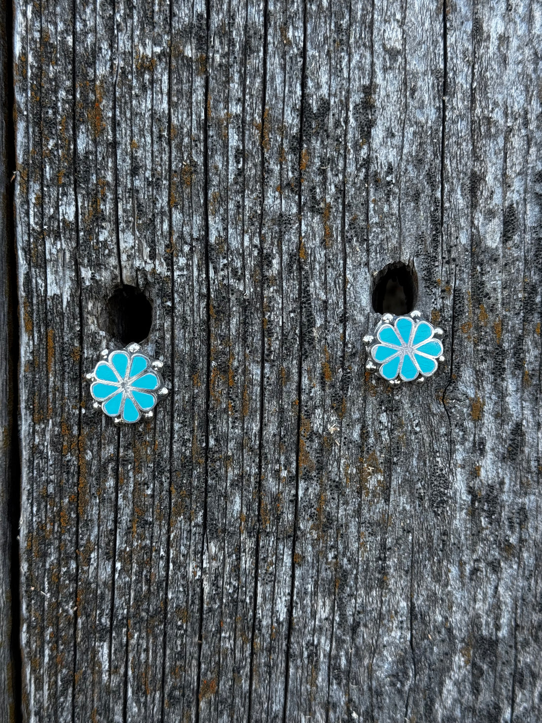 Pino Yuni Kingman Turquoise Earrings