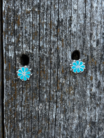 Pino Yuni Kingman Turquoise Earrings