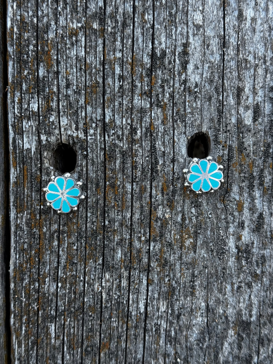 Pino Yuni Kingman Turquoise Earrings