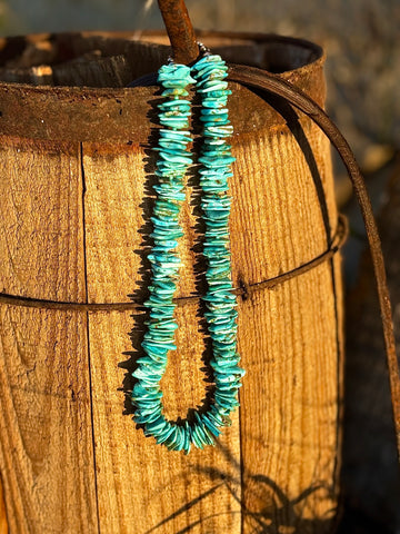 Chunky Turquoise Necklace