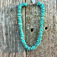 Chunky Turquoise Necklace