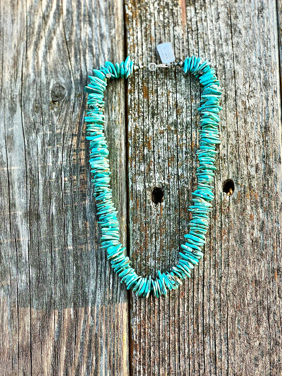 Chunky Turquoise Necklace