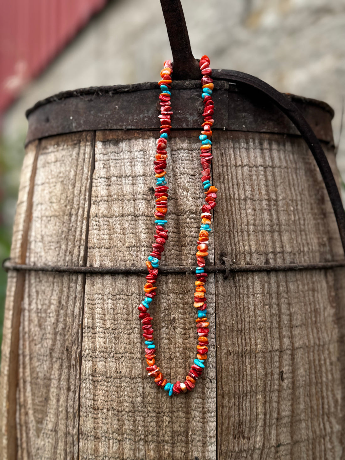 Spiny and Turquoise Strand