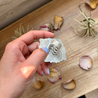 Mosaic Cluster Ring – Sterling Silver – Sonoran Mountain, Blue Ridge Turquoise & Spiny Oyster – Size 9 – Artist Shay Pfeiffer