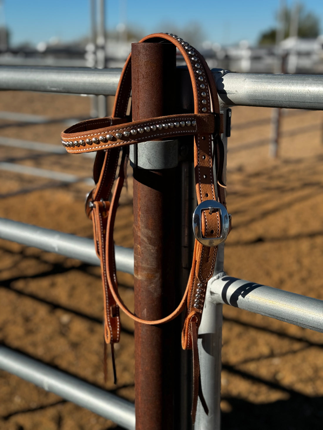 1” Rough Out Browband w/Dots