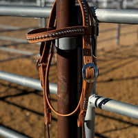 1” Rough Out Browband w/Dots