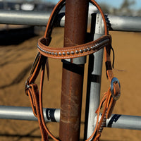 1” Rough Out Browband w/Dots