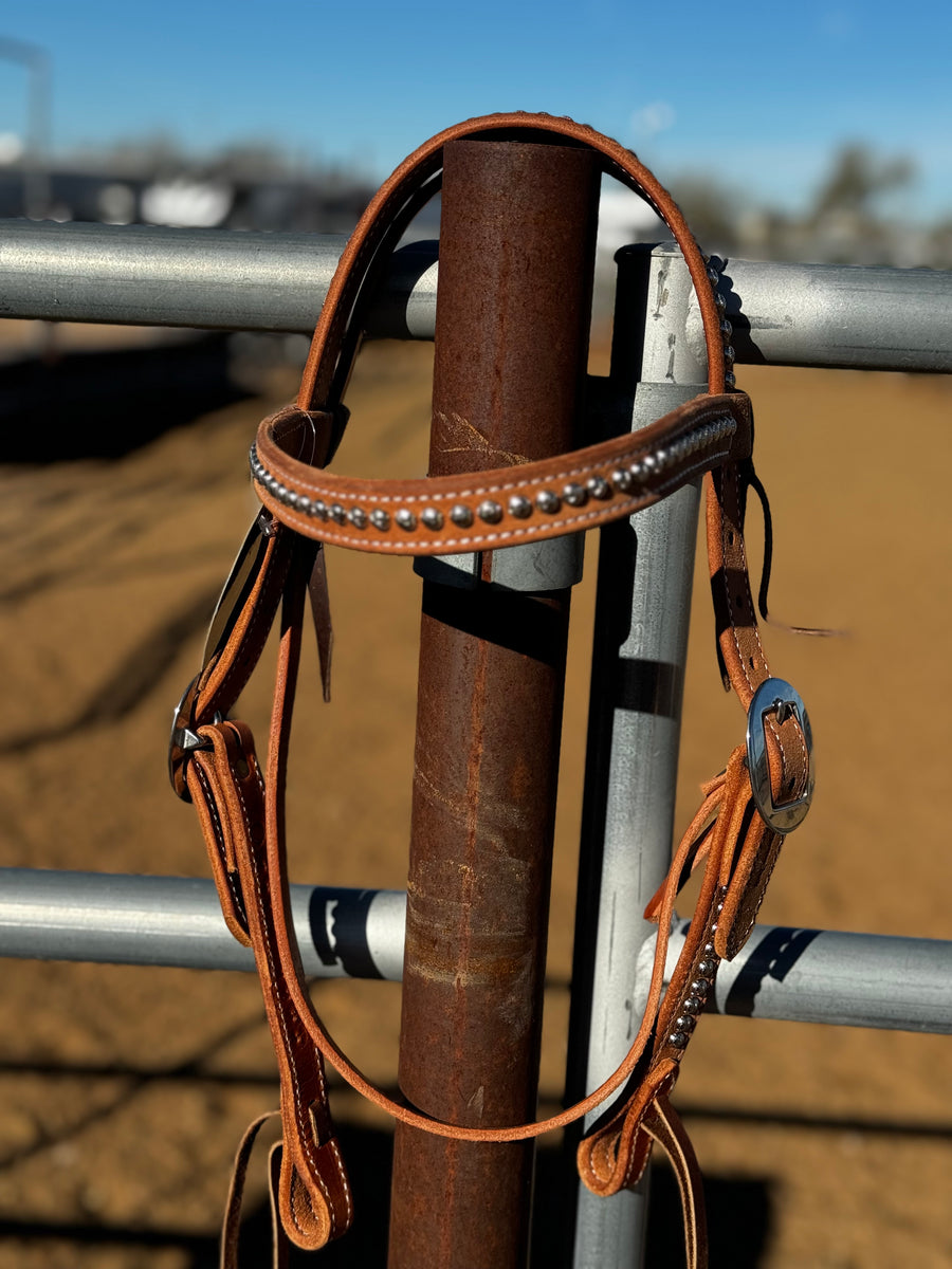 1” Rough Out Browband w/Dots