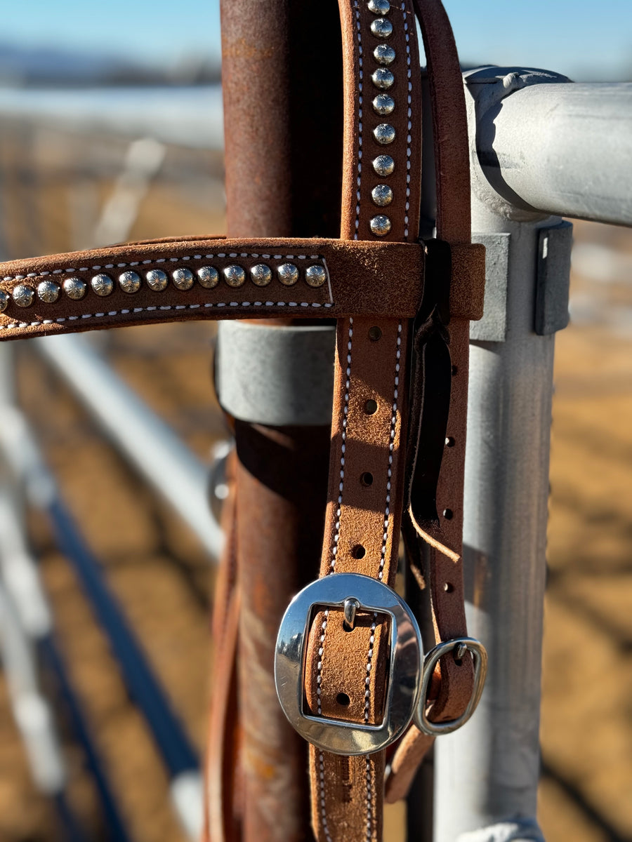 1” Rough Out Browband w/Dots