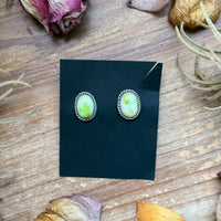 Sterling Silver Palomino Variscite Stud Earrings, Artist Jason Ogg