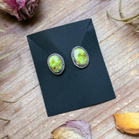 Sterling Silver Palomino Variscite Stud Earrings, Artist Jason Ogg