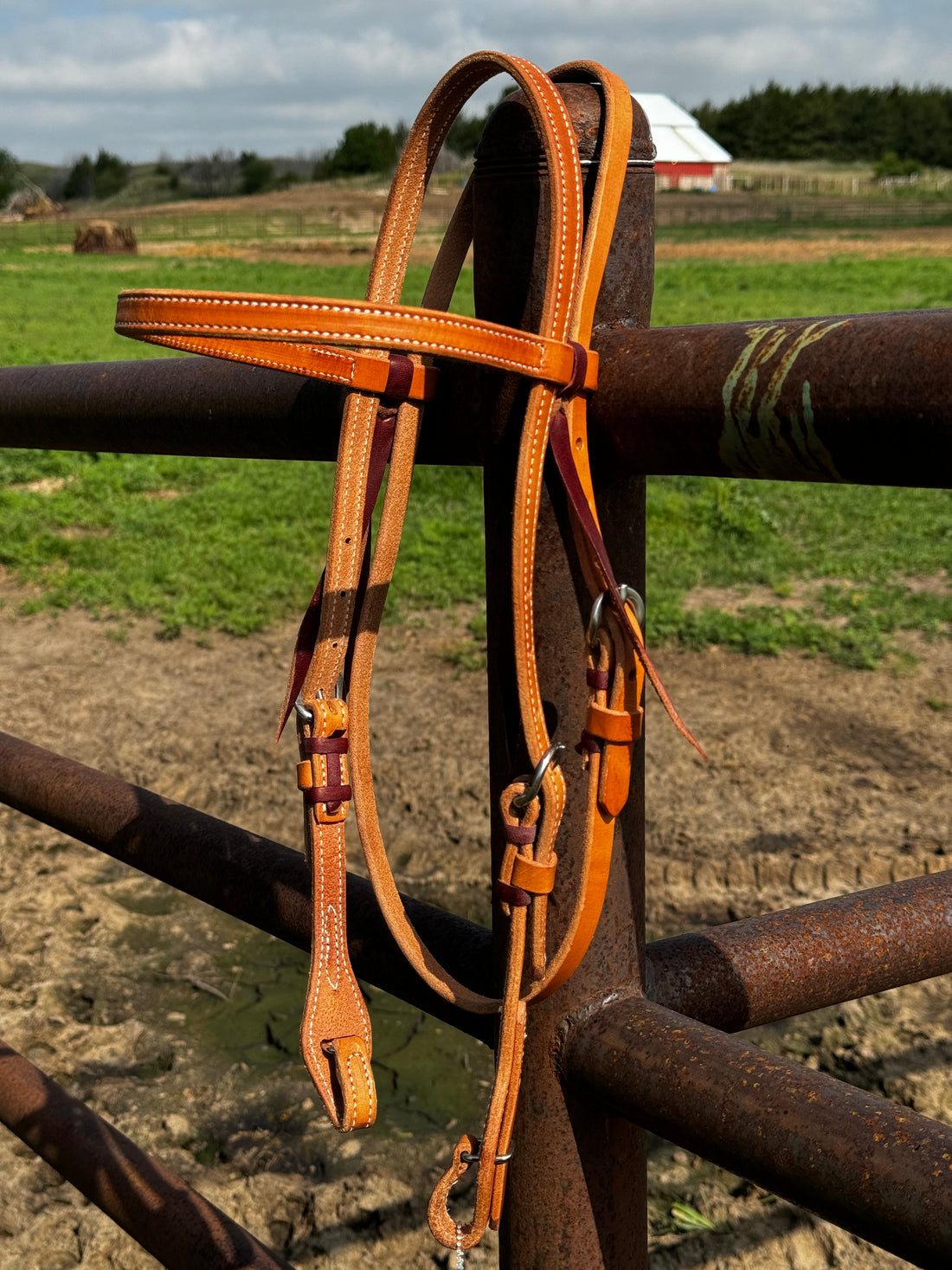 Harness Leather Quick Change Browband Headstall