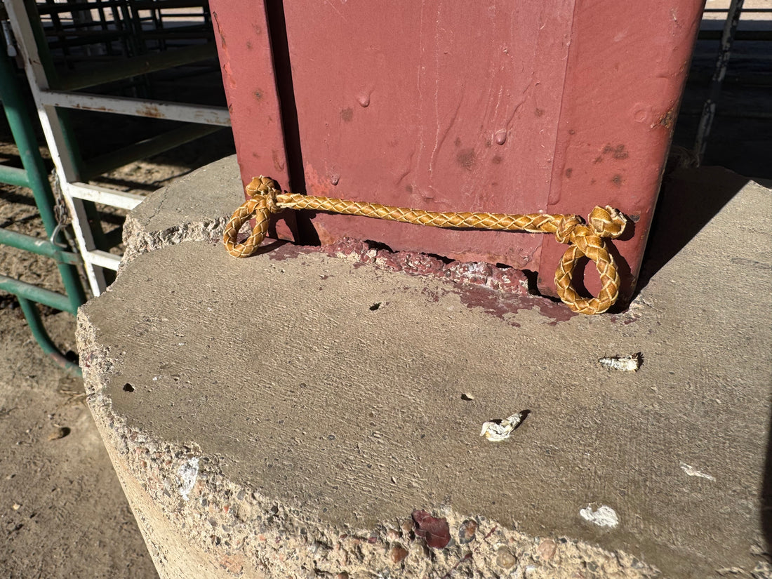 rawhide bit hobble with knots