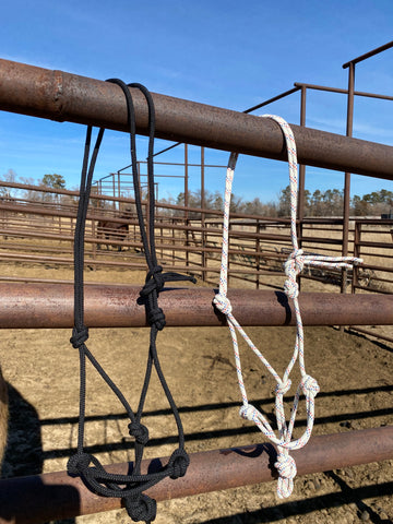 Foal Rope halter