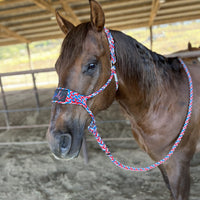 Best Ever Mule Tape Halter w/ 8.5′ Lead