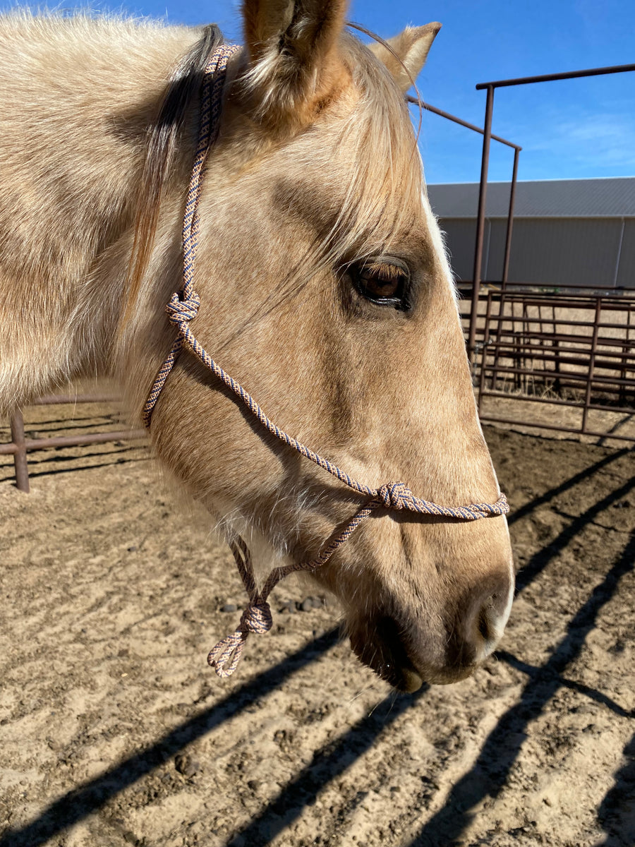 Rope Halter