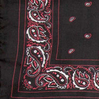 Silk Bandana Wildrags