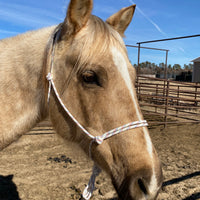 Rope Halter