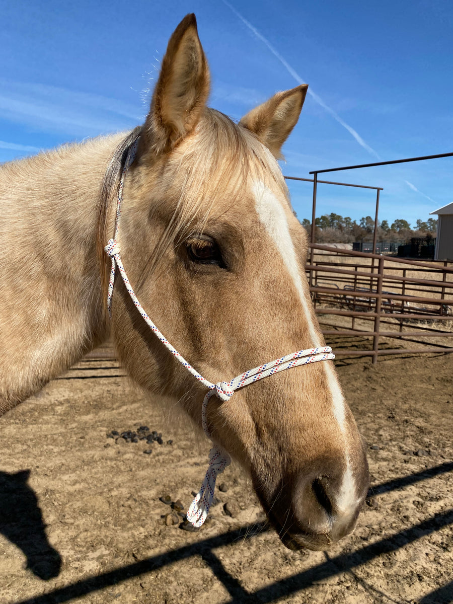 Rope Halter