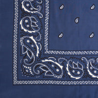 Silk Bandana Wildrags